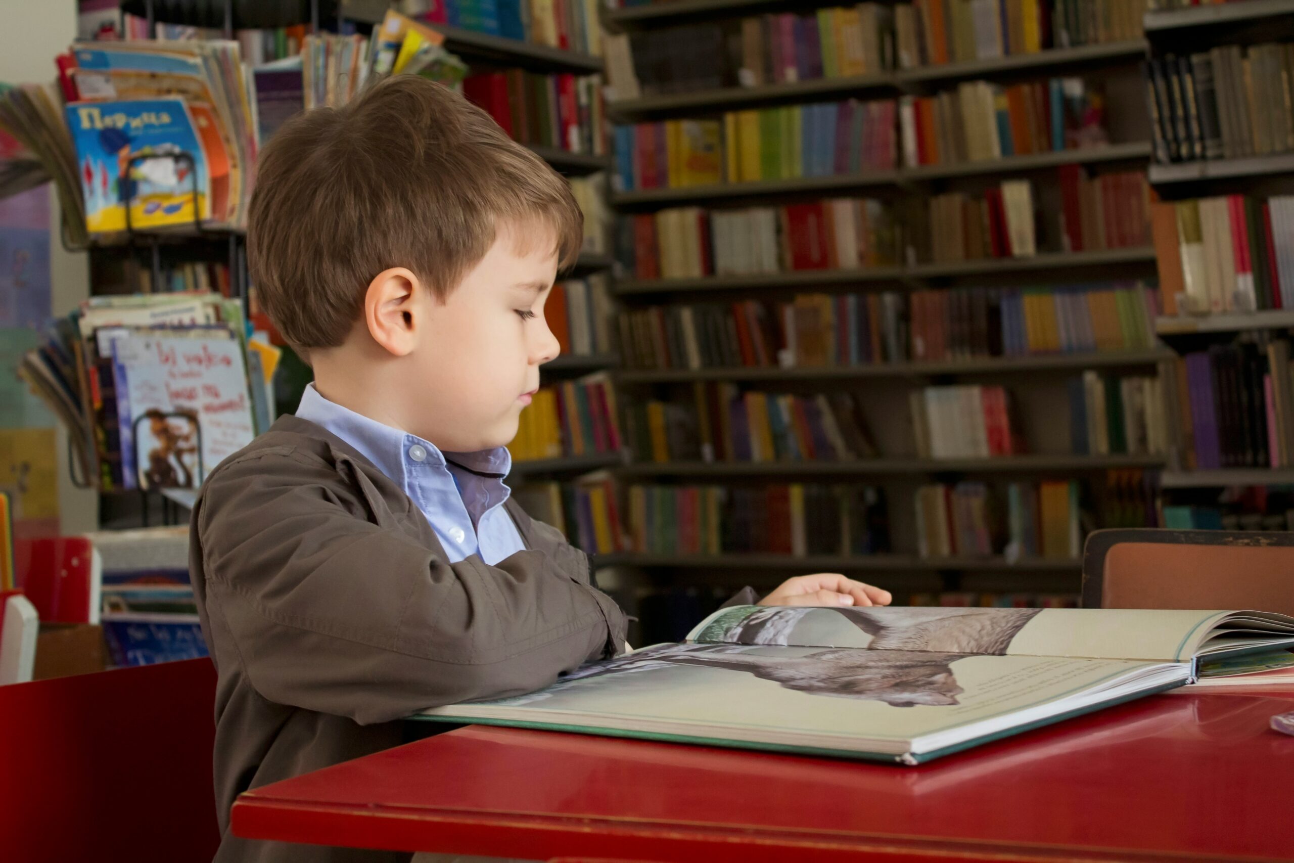 A young student reading in the school library